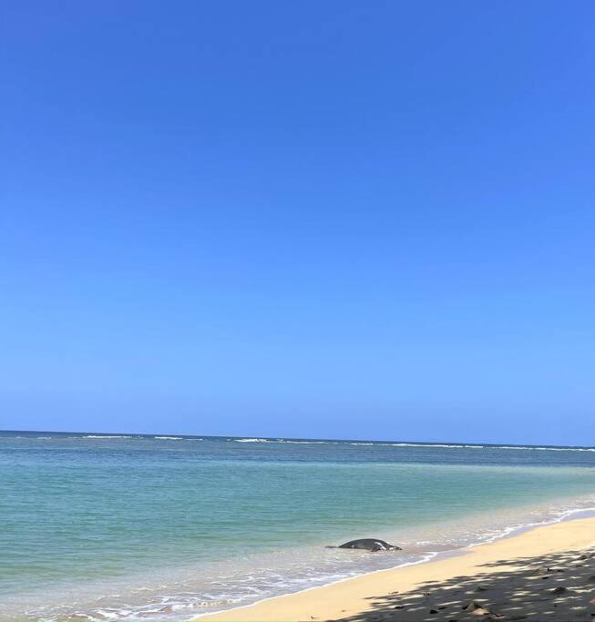 Hummingbird Oceanfront Cottage Hau'ula Luaran gambar