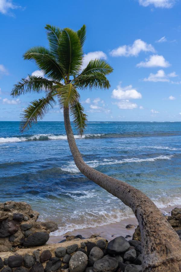 Hummingbird Oceanfront Cottage Hau'ula Luaran gambar